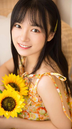 应用安装步骤示意图